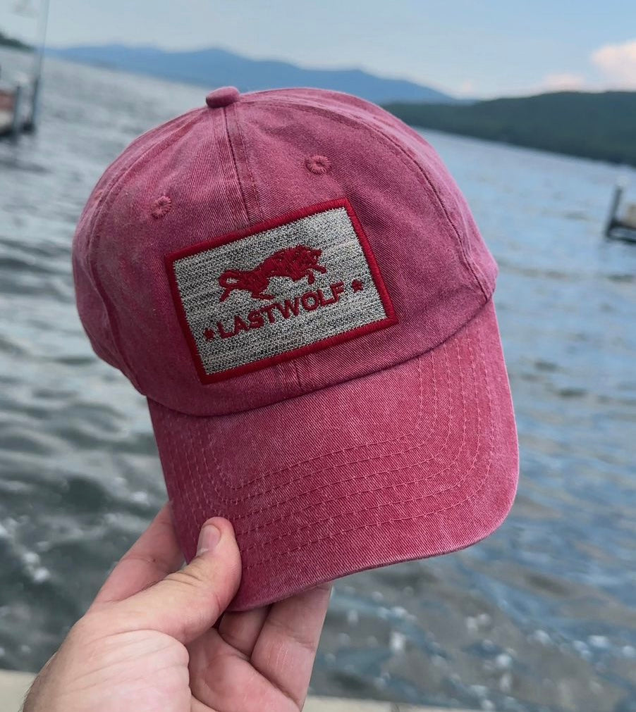 Americade 2023: A Historic and Thrilling Journey with Lastwolf at Lake George