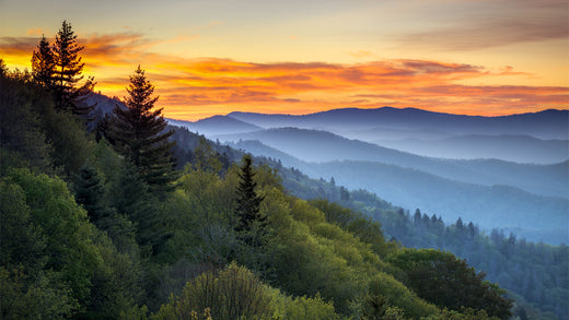 SUMMER HIKING TRAILS