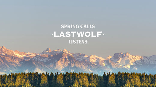 SPRING CALLS, LASTWOLF LISTENS