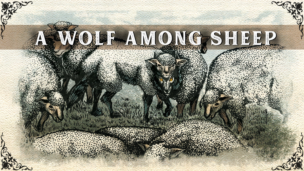 A WOLF AMONG SHEEP
