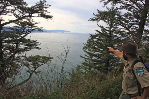 Guardians of the Wild - Exploring the diverse activities of Park Rangers in the USA